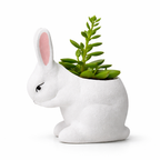 Pot de Fleurs Lapin Décoratif en Céramique